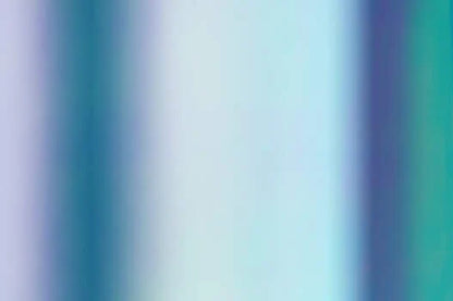 Holographic Vinyl Sampler