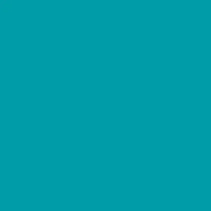 Smart Vinyl™ – Removable (3 ft)