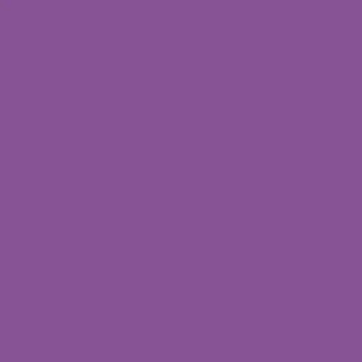 Premium Vinyl™ Sampler, Princess - Removable