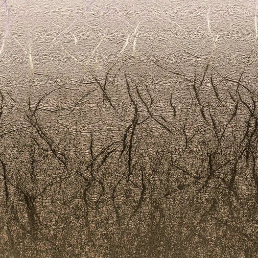 Premium Vinyl™ Textured Metallic Sampler, Precious Metals - Permanent